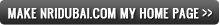 Set as Home Page