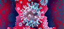 Coronavirus Disease